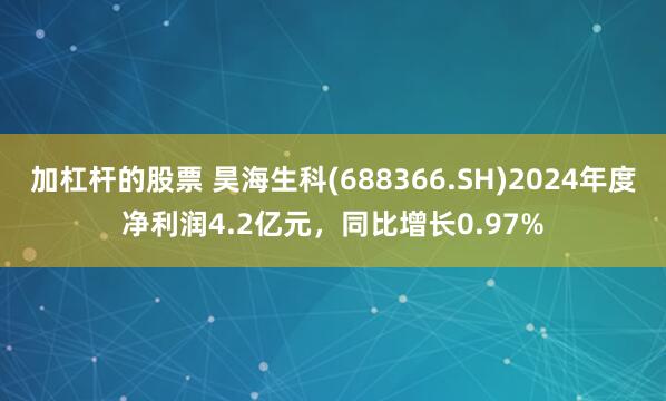 加杠杆的股票 昊海生科(688366.SH)2024年度净利润4.2亿元，同比增长0.97%