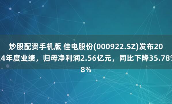 炒股配资手机版 佳电股份(000922.SZ)发布2024年度业绩，归母净利润2.56亿元，同比下降35.78%