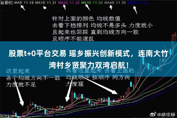 股票t+0平台交易 瑶乡振兴创新模式，连南大竹湾村乡贤聚力双湾启航！