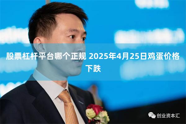 股票杠杆平台哪个正规 2025年4月25日鸡蛋价格下跌