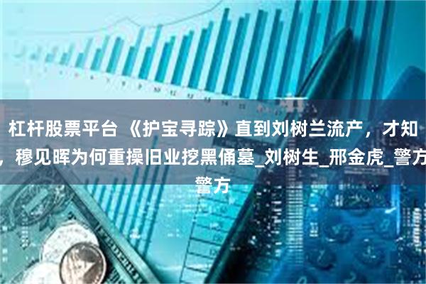 杠杆股票平台 《护宝寻踪》直到刘树兰流产，才知，穆见晖为何重操旧业挖黑俑墓_刘树生_邢金虎_警方