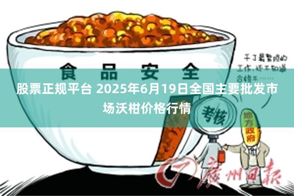 股票正规平台 2025年6月19日全国主要批发市场沃柑价格行情