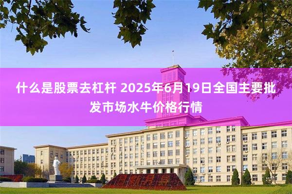 什么是股票去杠杆 2025年6月19日全国主要批发市场水牛价格行情