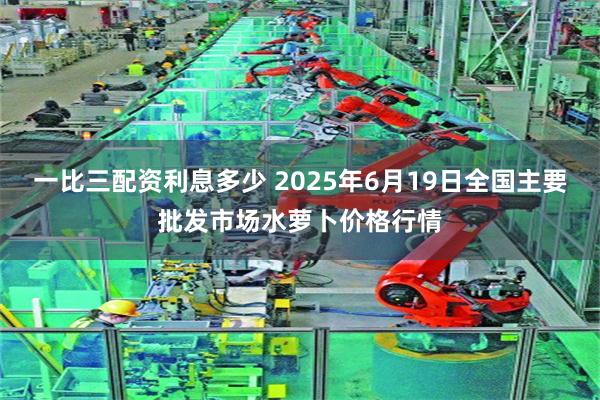 一比三配资利息多少 2025年6月19日全国主要批发市场水萝卜价格行情