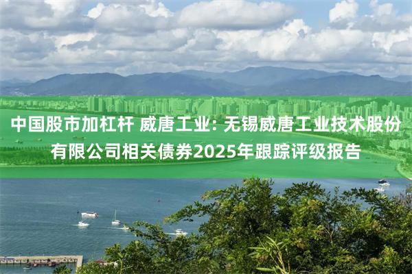 中国股市加杠杆 威唐工业: 无锡威唐工业技术股份有限公司相关债券2025年跟踪评级报告