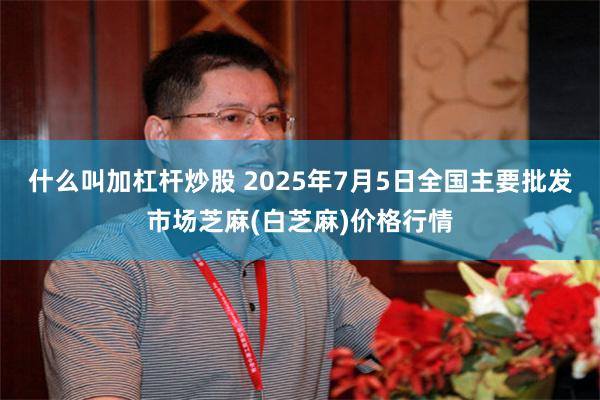 什么叫加杠杆炒股 2025年7月5日全国主要批发市场芝麻(白芝麻)价格行情