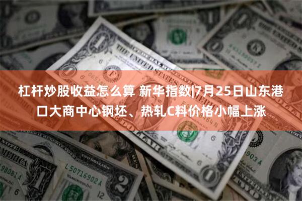 杠杆炒股收益怎么算 新华指数|7月25日山东港口大商中心钢坯、热轧C料价格小幅上涨