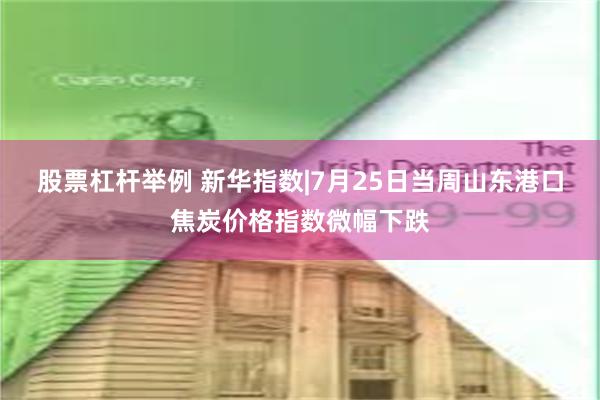 股票杠杆举例 新华指数|7月25日当周山东港口焦炭价格指数微幅下跌
