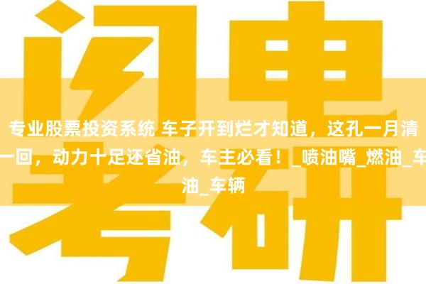 专业股票投资系统 车子开到烂才知道，这孔一月清理一回，动力十足还省油，车主必看！_喷油嘴_燃油_车辆