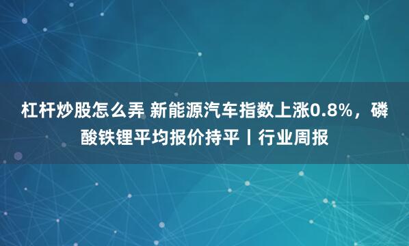 杠杆炒股怎么弄 新能源汽车指数上涨0.8%，磷酸铁锂平均报价持平丨行业周报
